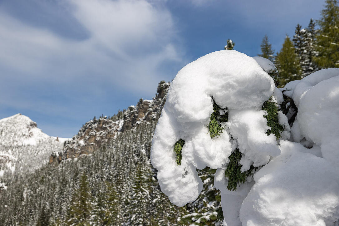 Erster Schnee in Liechtenstein