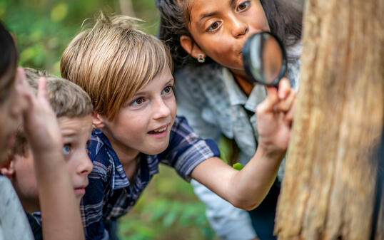 Elementary school kids hiking