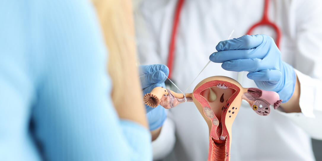 Doctor gynecologist ligates fallopian tubes on female reproductive system example, explain to patient