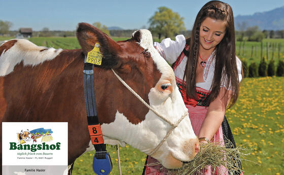 Die Aussteller der «EWA» Eschner Weihnachts- und Gewerbeausstellung