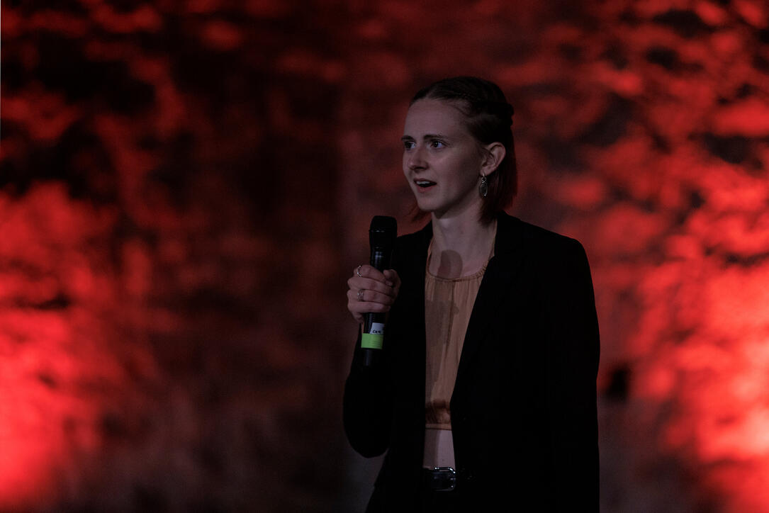 The Princely Liechtenstein Tattoo in Schellenberg