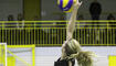 Volleyball: Damen, NLB, VBC Galina