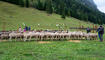 Breemimarcht Steg, Triesenberg