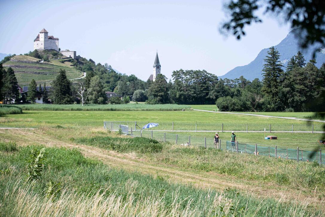 Hundeplausch Balzers (20.06.2026)