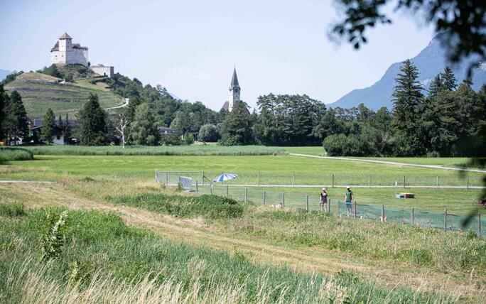 Hundeplausch Balzers (20.06.2026)