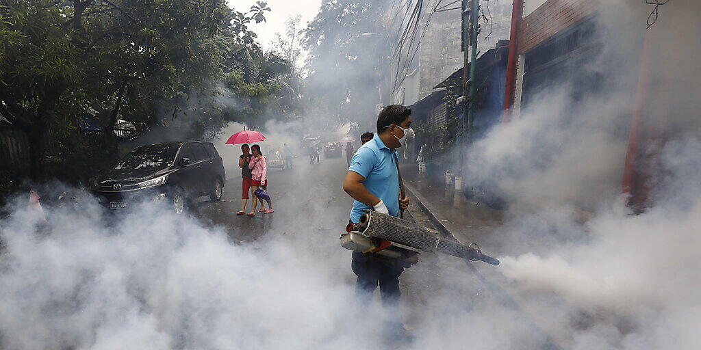 In der Region von Manila versucht das Gesundheitsministerium die Stechmücken zu vernichten, die das Dengue-Virus übertragen.