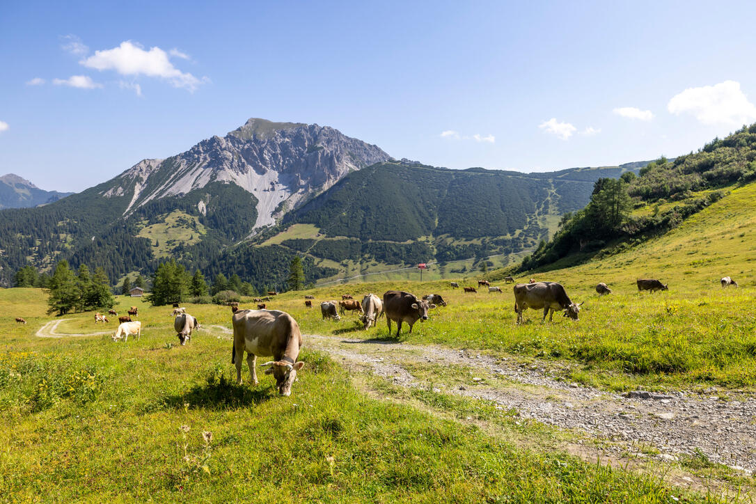 Wanderung Pf&auml;lzerh&uuml;tte Naafkopf