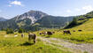 Wanderung Pf&auml;lzerh&uuml;tte Naafkopf