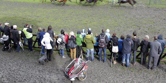 Titel des Bildes