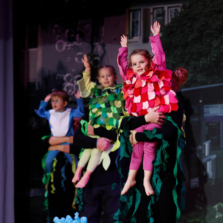 Turnunterhaltung STV Oberriet-Eichenwies, St. Gallen, Schweiz