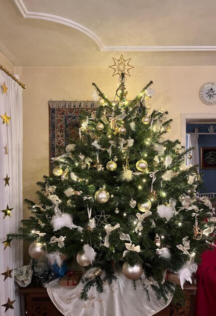 Fotowettbewerb: Zeig uns Deinen Christbaum 2022