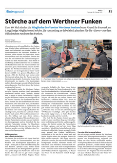 Seite 031 Seite 031