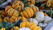 Herbst im Land