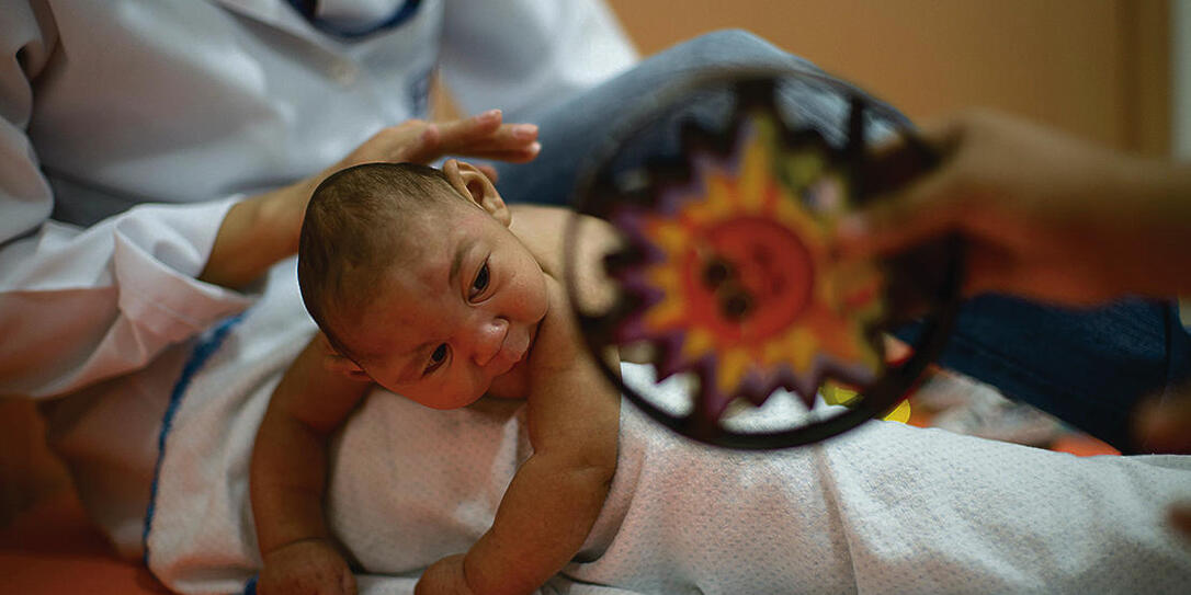 Brazil Zika Virus