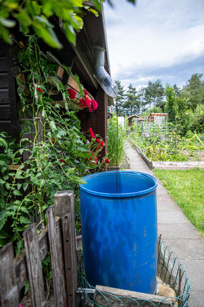 Gartenfest in Triesen (06.07.2024)