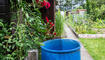 Gartenfest in Triesen (06.07.2024)