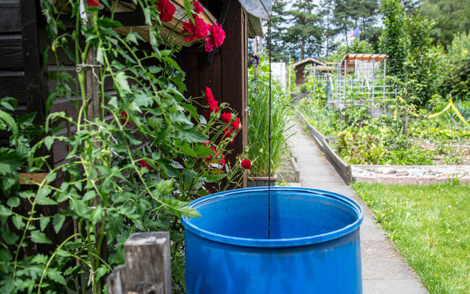 Gartenfest in Triesen (06.07.2024)
