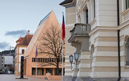 250110 Sonderbund Landtagswahlen 2025 -  «Richtig wählen»