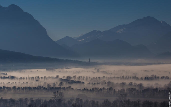 Nebel über dem Schaaner Riet