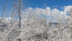 Schnee im Frühling