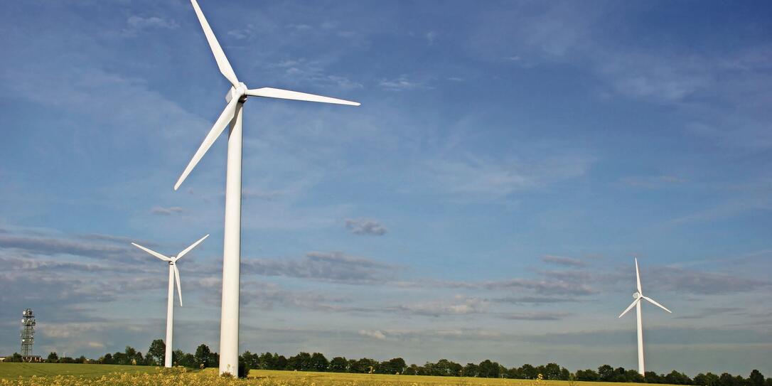 Windmills and yellow rape field