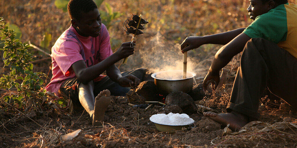 Zwei Männer in Malawi essen gekochte Mäuse. (Archivbild)
