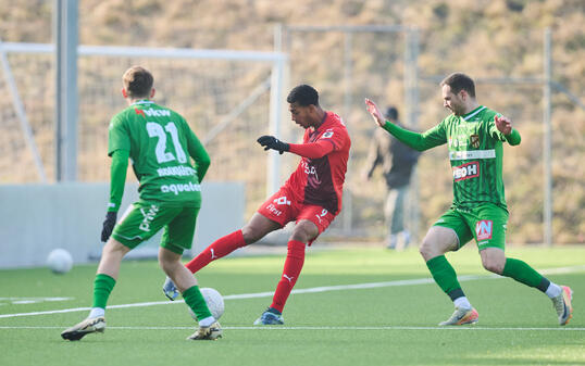 VADUZ - LUSTENAU