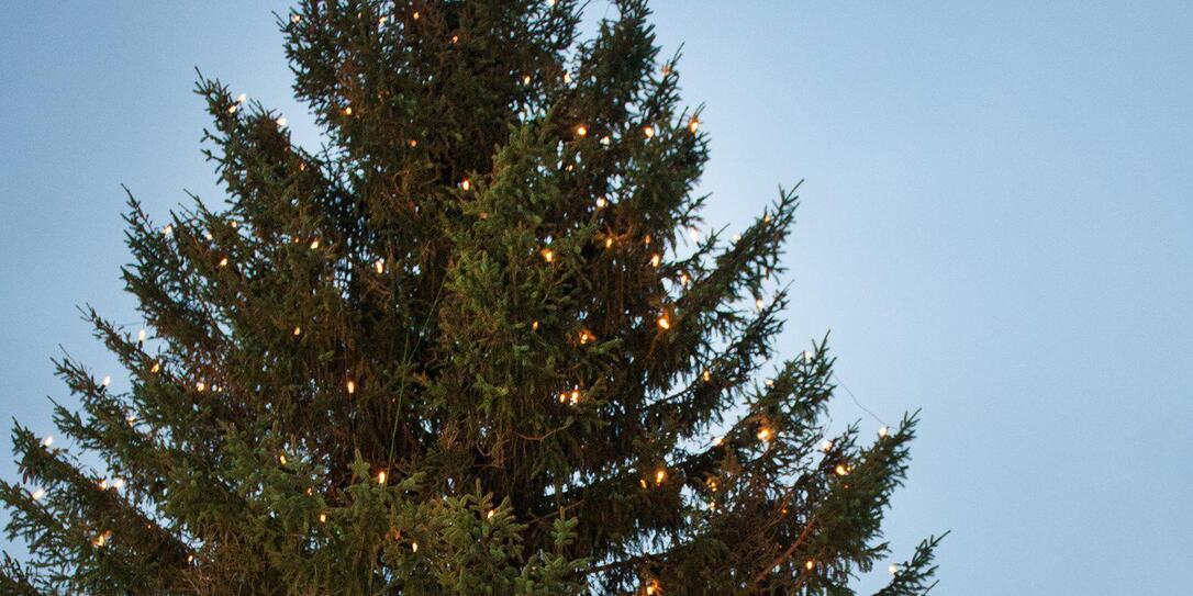 Uebergabe des Weihnachtsbaumes 2014 durch die Gemeinde Triesenbe