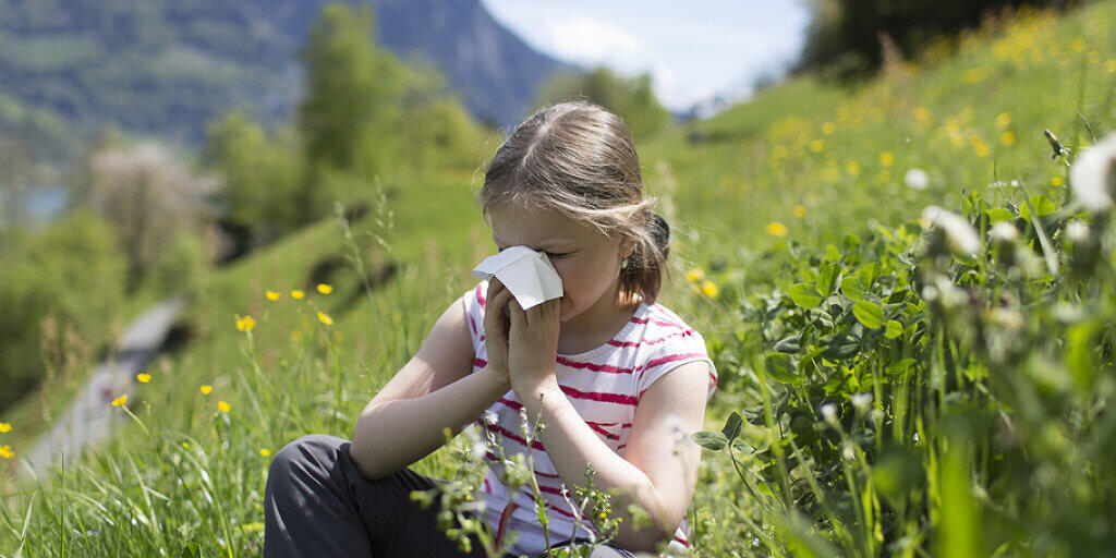Allergikerinnen und Allergiker machen gemäss MeteoSchweiz mehr als 20 Prozent der Bevölkerung aus. (Symbolbild)