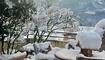 Winterwunderland Liechtenstein (03.12.23)