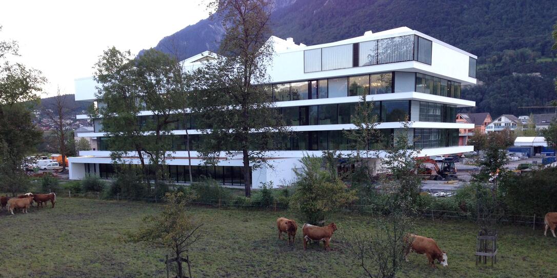 First Advisory Vaduz