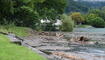 Hochwasser Walensee am Freitagvormittag