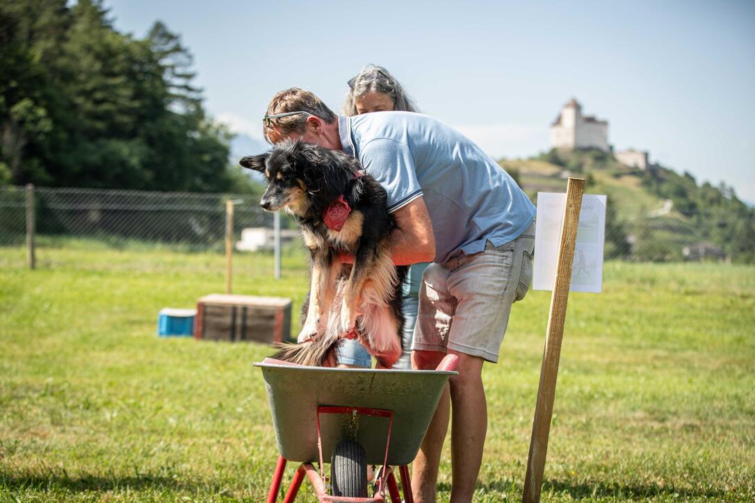 Hundeplausch Balzers (20.06.2026)