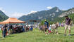 Eselfest in Malbun