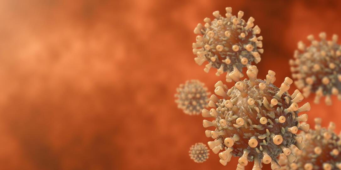 3d Coronavirus