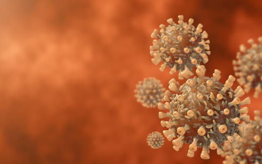 3d Coronavirus