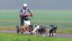 Wagenrennen vom Schlittenhundeverein Liechtenstein