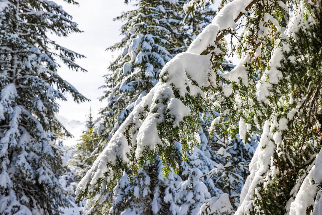 Erster Schnee in Liechtenstein