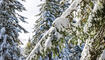 Erster Schnee in Liechtenstein