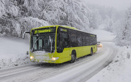 Liemobil in Triesenberg