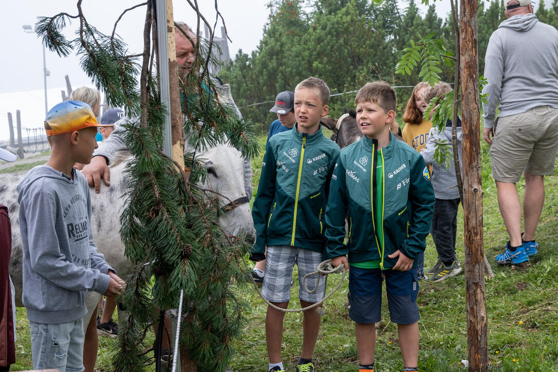 Eselfest in Malbun