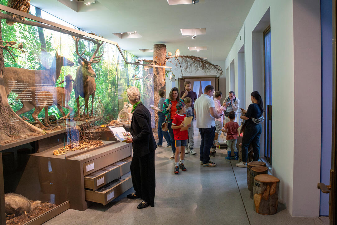 Reiseziel Museum (03.08.2025)