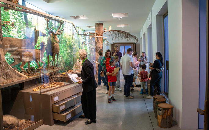 Reiseziel Museum (03.08.2025)