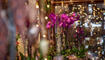 Bei den Liechtensteiner Floristen kommt Advents- und Weihnachtsstimmung auf