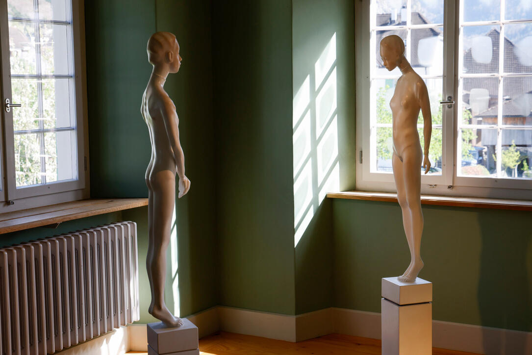 Vernissage &laquo;Interferenzen&raquo; mit Werken von Michael Tolloy und Patrick Kaufmann im Alten Pfarrhof  Balzers.