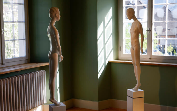 Vernissage &laquo;Interferenzen&raquo; mit Werken von Michael Tolloy und Patrick Kaufmann im Alten Pfarrhof  Balzers.