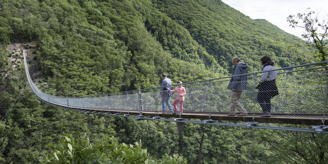 ALPEN, SCHWEIZER ALPEN, WANDERN, WANDERER, TRIFTBRUECKE, TRIFT, BRUECKE, HAENGESEILBRUECKE, HAENGEBRUECKE, SEILBRUECKE,