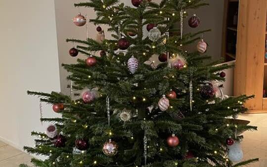 Fotowettbewerb: Zeig uns Deinen Christbaum 2022