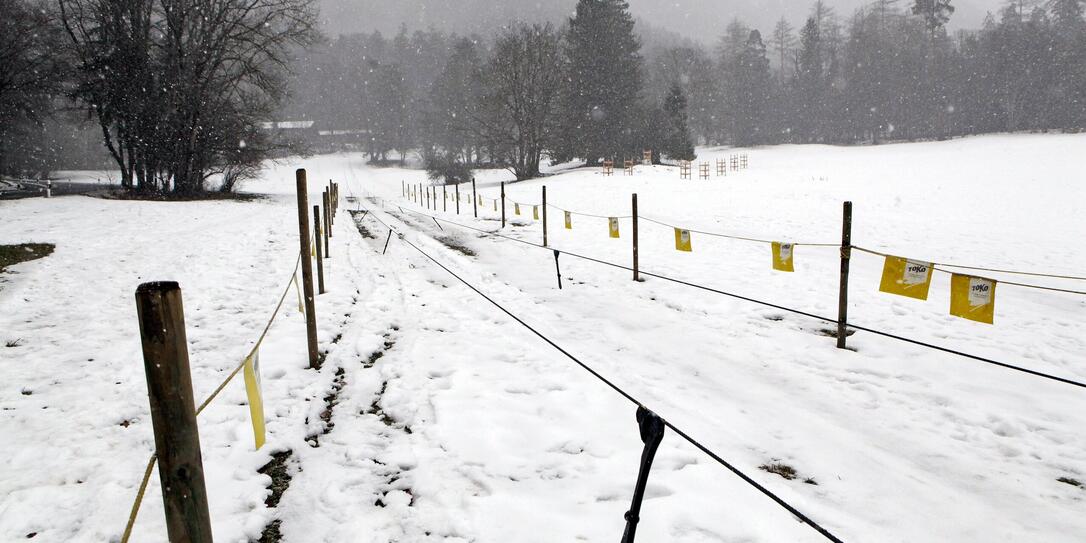 Skilift Tschagäl in Schaan, Richtung Planken