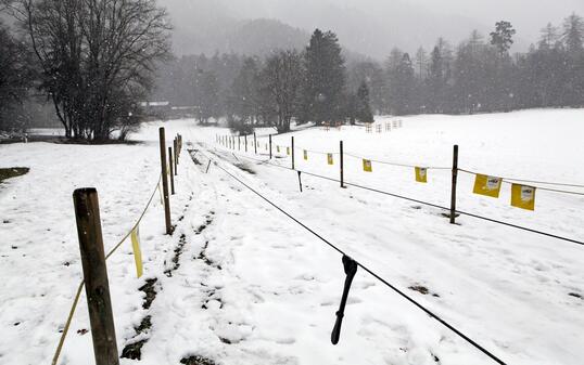 Skilift Tschag&auml;l in Schaan, Richtung Planken
